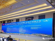 张云龙先生携众多选矿设计创新方案亮相2020矿业全产业链大会 鑫海矿装荣获“2020中国黄金行业优秀服务商”荣誉称号