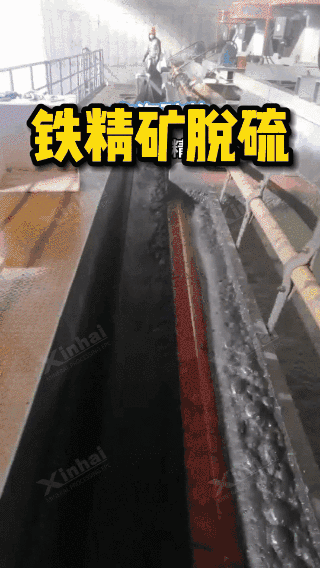 浮选脱硫视频