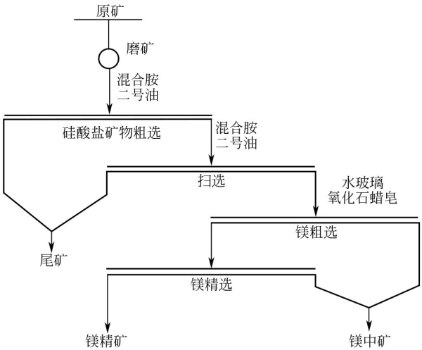 菱镁矿浮选工艺流程.jpg
