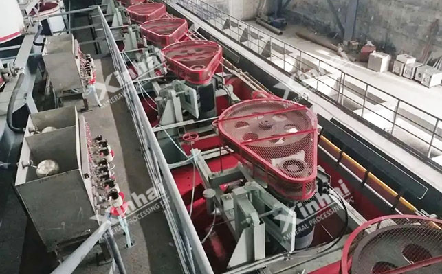 河北2000t/d铁精矿脱硫选矿项目