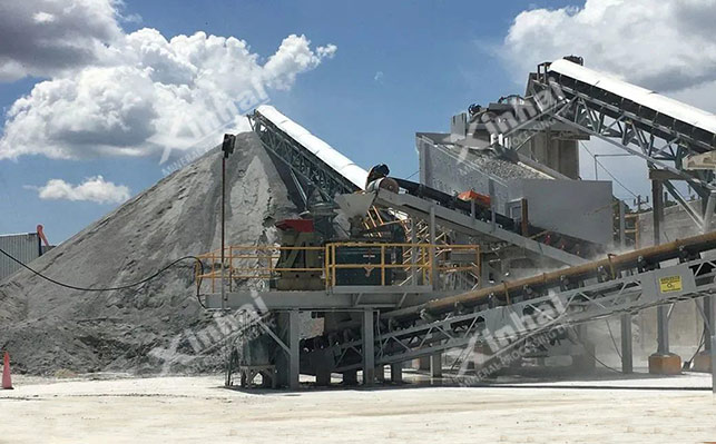 墨西哥1200t/d金矿氰化选矿项目