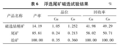 浮选尾矿磁选试验结果