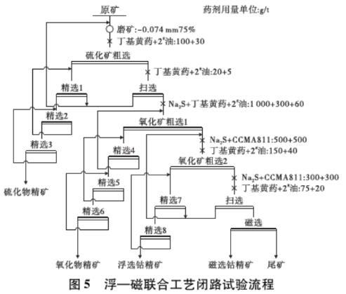 浮一磁联合工艺流程