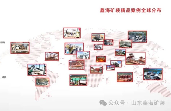 全球案例分布